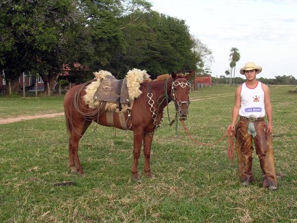 Peões pantaneiros tocando boiada com chicote de metal no Pantanal, Pantanal cowboys escorting the cattle with metal whip in Pantanal