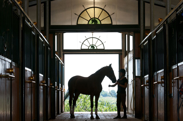 Il Paretaio Riding Center Stables