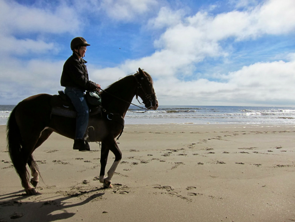 Maine beach horseback