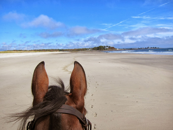 parsons beach maine horseback riding