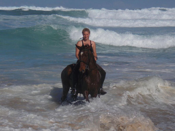 Peas on Earth Horseback Riding Ocean