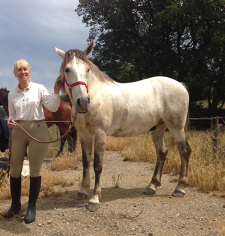 Peralada horseback Andalusian