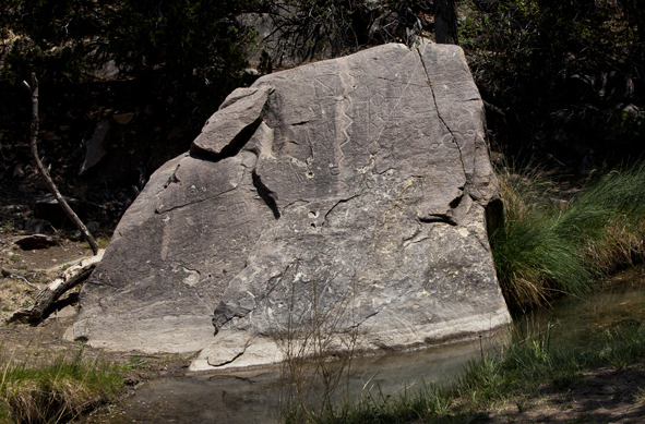 petroglyph rock new mexico usa
