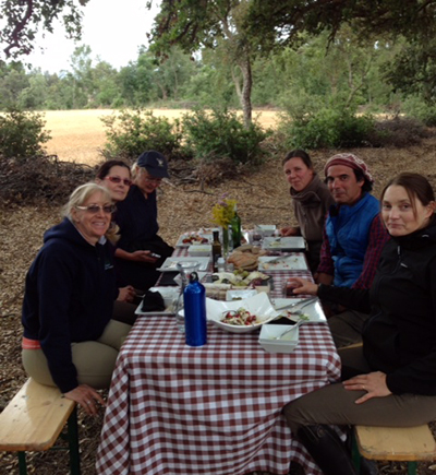 picnic old cork forest spain