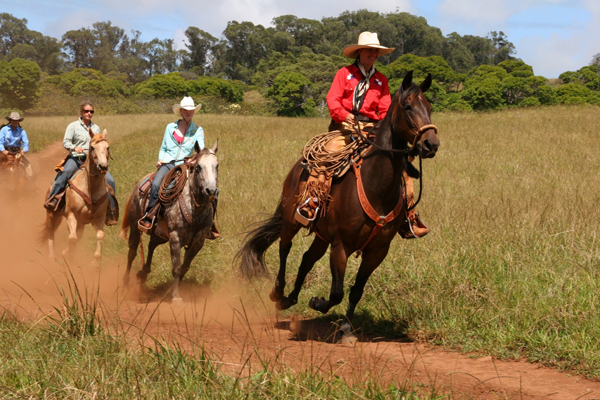 piiholo ranch maui horse riding