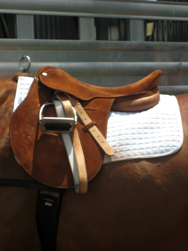 polo saddle