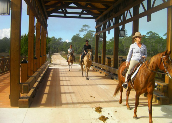 princess preserve horseback florida