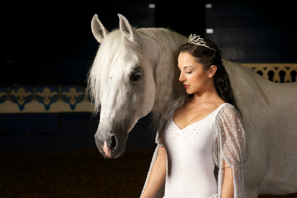 Equestrian entertainment Arabian Nights dinner show In Orlando Florida