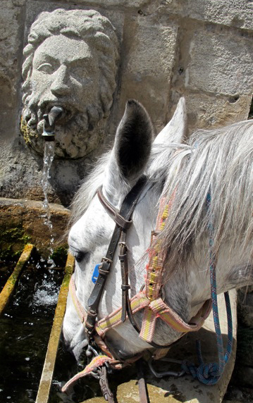 Provence horse riding