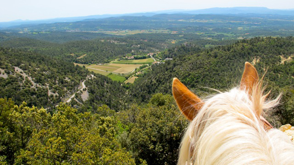 France horse riding