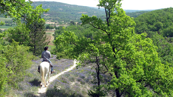 Provence horse riding