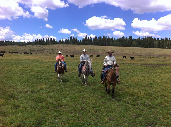 Rainbow Trout Ranch Colorado