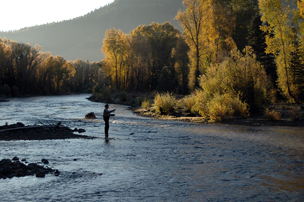 Rainbow Trout Ranch Fly Fishing