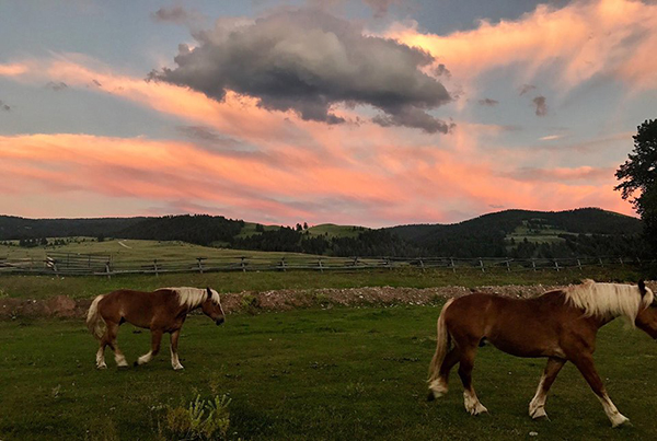 Ranch at Rock Creek Montana sunset horses