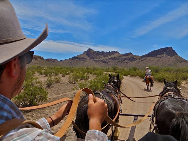 White Stallion wagon rides