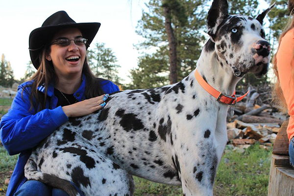 ranch dogs sundance