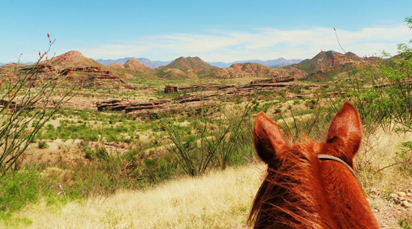 rancho los banos mexico horse riding