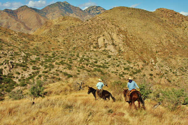 Rancho Los Banos Adventure Riding