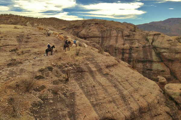 rancho los banos mexico horseback riding