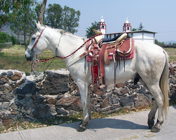 Mexico ranch vacations