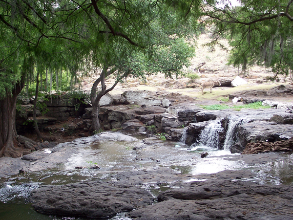 rancho las cascadas