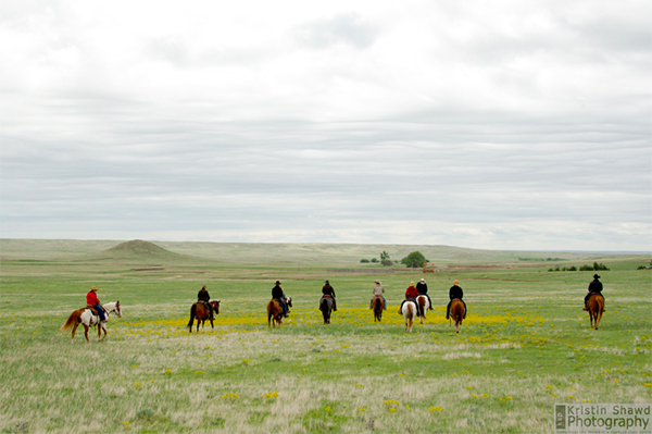 range riding colorado cattle company