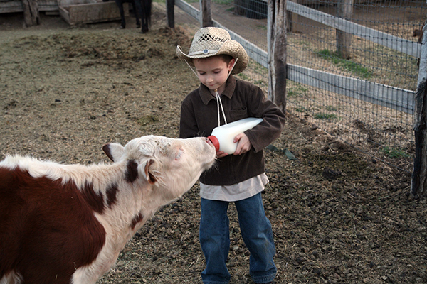 rankin ranch kids program california