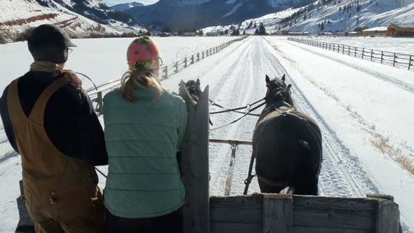 red rock ranch wyoming driving horses