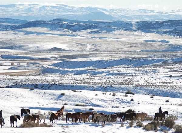 red reflet ranch