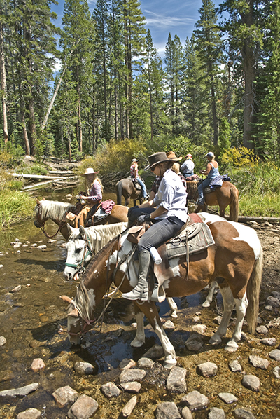 Reds Meadow trail horse pack trip