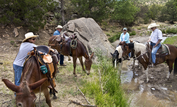 horseback riding new mexico petroglyph