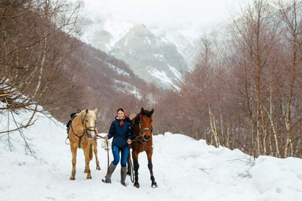 Horse Ride Snow Republic of Georgia