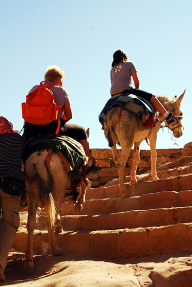 responsible equestrian tourism the brooke jordan