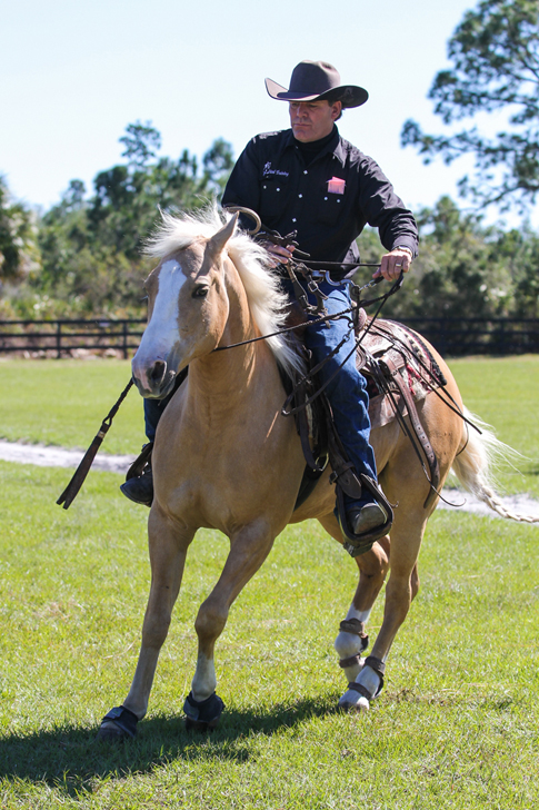 Rick Steed Bridleless Demonstration