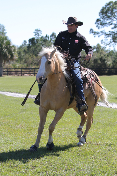 Rick Steed Brideless Demonstration Western Clinic