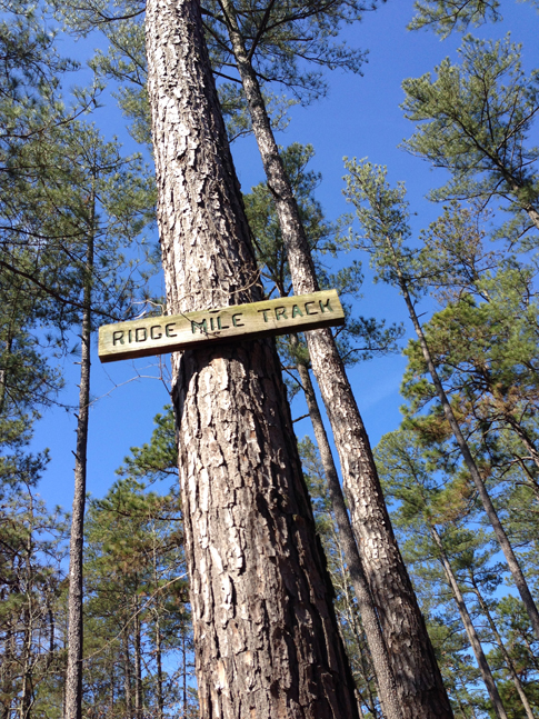 Ridge Mile Track Hitchcock Woods