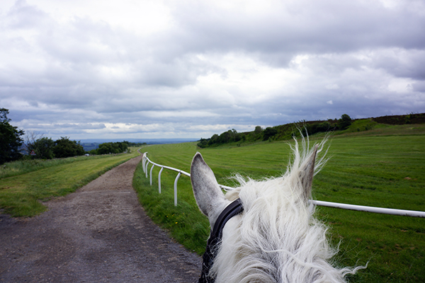 Middleham Gallops horseback riding Yorkshire