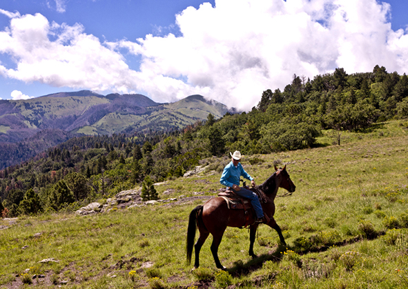 riding argentine trail nm