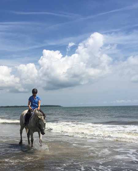 horseback riding on the beach daufuskie island south carolina