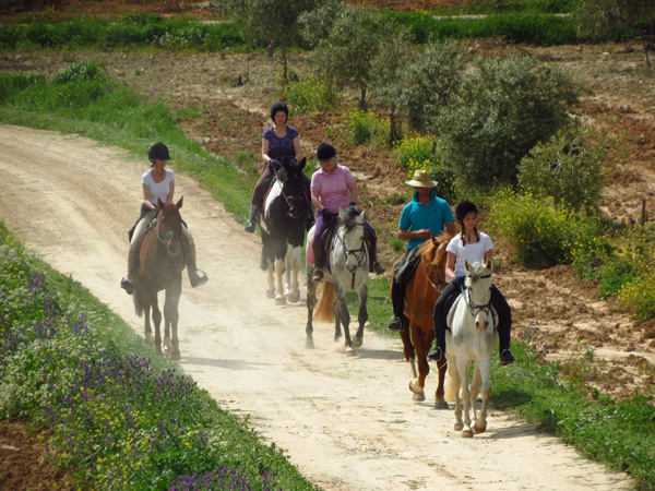 Horseback Riding Cortijo Uribe Countryside 