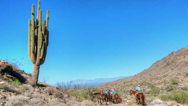 Stagecoach trails guest ranch arizona horse riding