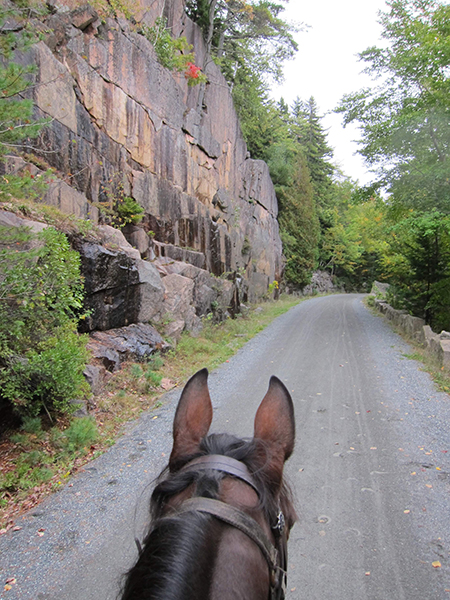 horseback riding the carriage trails acadia national park 