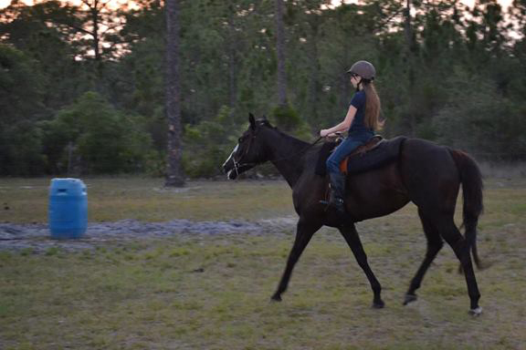 riding florida trails all hitched up