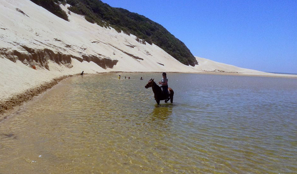 riding in the water in south africa