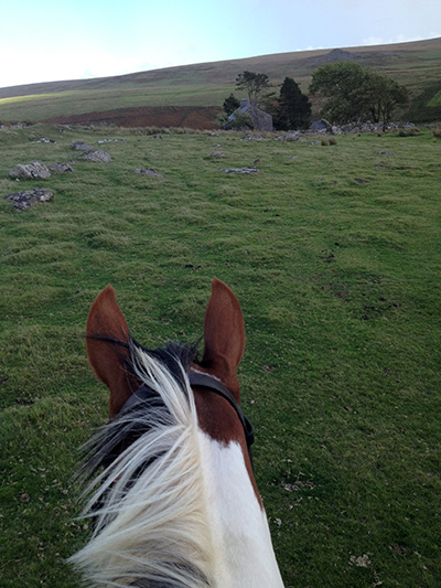 riding where War Horse filmed in the UK