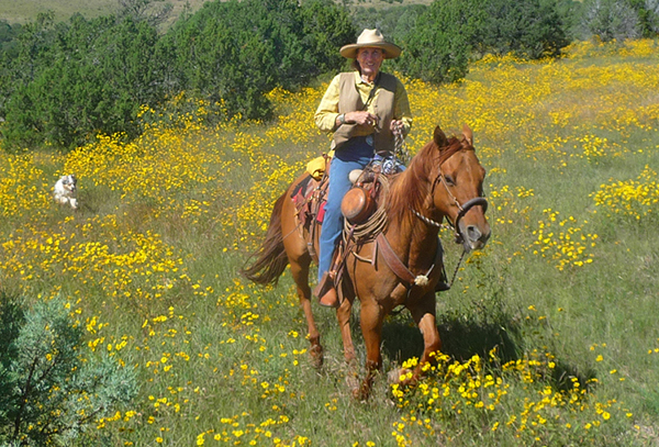 riding in yellow flowers nm