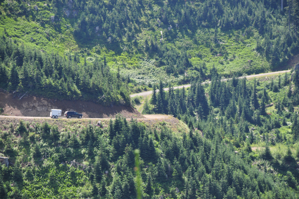 The Road going to Government Meadow Horse Camp