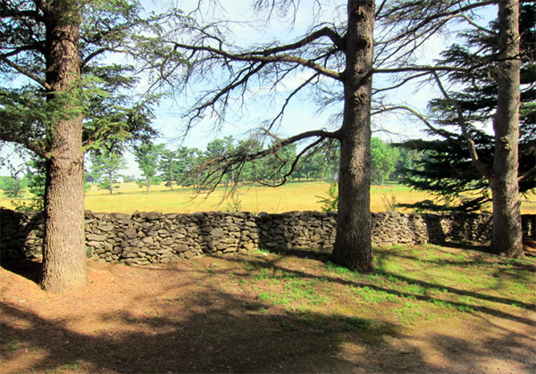 Tuleyrie estate rock walls