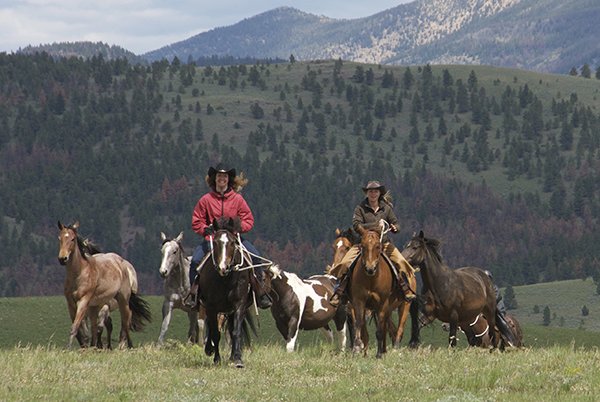 Rocking Z Guest Ranch Parelli Ranch Vacations