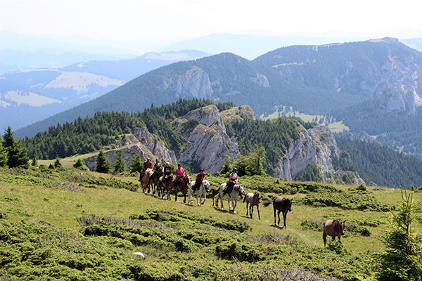 Romania horseback riding